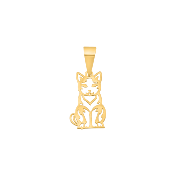 20006