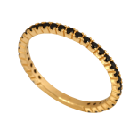 Pn919